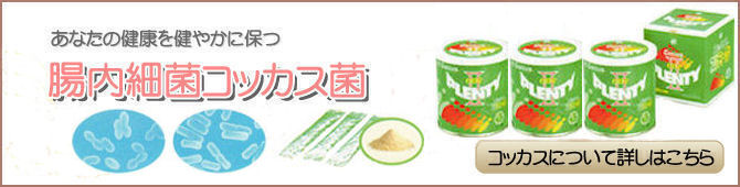 あなたの健康を健やかに保つ　腸内細菌コッカス菌