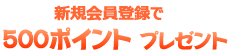新規会員登録で500ポイントプレゼント
