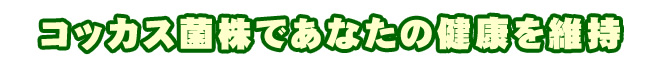 コッカス菌株であなたの健康を維持