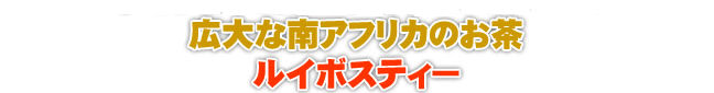 不老長寿の秘薬と語り継がれてきた広大な南アフリカのお茶ルイボスティー