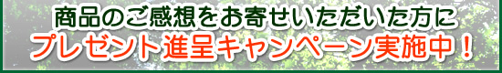 商品のご感想をお寄せいただいた方にプレゼント進呈キャンペーン実施中!