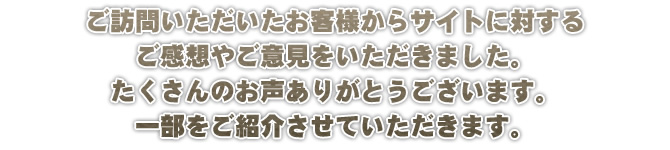 ご訪問いただいたお客様からサイトに対する
ご感想やご意見をいただきました。