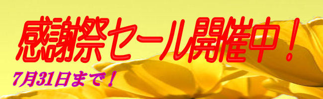 感謝セール7/31