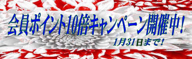 ポイント10倍１月