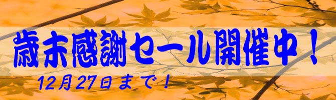 歳末感謝セール12月27日