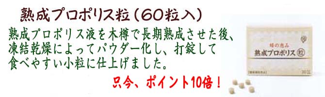 熟成プロポリス粒p10